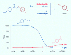 Graphical abstract: Competing pathways for photoremovable protecting groups: the effects of solvent, oxygen and encapsulation