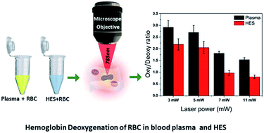 Graphical abstract: Human red blood cell behaviour in hydroxyethyl starch: probed by single cell spectroscopy