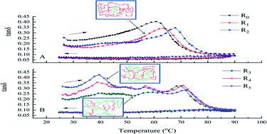 Graphical abstract: Phase separation affects the rheological properties of starch dough fortified with fish actomyosin