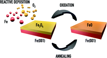 Graphical abstract: Reversible metamorphosis from Fe3O4 to FeO of epitaxial iron oxide films grown on the Fe-p(1 × 1)O surface