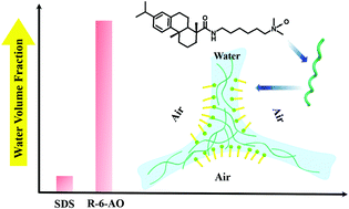 Graphical abstract: Highly wet aqueous foams stabilized by an amphiphilic bio-based hydrogelator derived from dehydroabietic acid