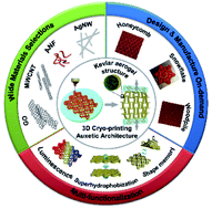 Graphical abstract: 3D printing-directed auxetic Kevlar aerogel architectures with multiple functionalization options