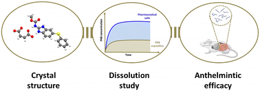 Graphical abstract: Structural features, dissolution performance and anthelmintic efficacy of multicomponent solid forms of fenbendazole with maleic and oxalic acids