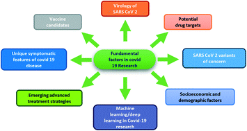 Graphical abstract: An insight into SARS-CoV-2 structure, pathogenesis, target hunting for drug development and vaccine initiatives