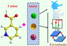 Graphical abstract: Nicotinic acid bromide: a simple organic salt optical-electrical ferroelastic with high Tc