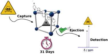 Graphical abstract: The preservation of sarin and O,O′-diisopropyl fluorophosphate inside coordination cage hosts