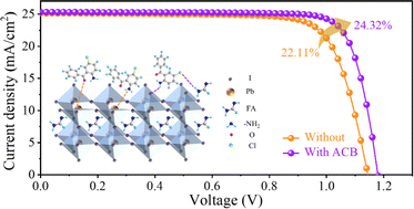 Graphical abstract: 2-Amino-5-chlorobenzophenone passivating perovskite films using multiple functional groups towards high-performance solar cells