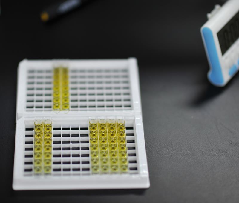 马红细胞生成素 EPO ELISA Kit价格 详情介绍 960化工网 960化工网