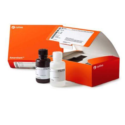 Ecl Prime Western Blotting Detection Reagent