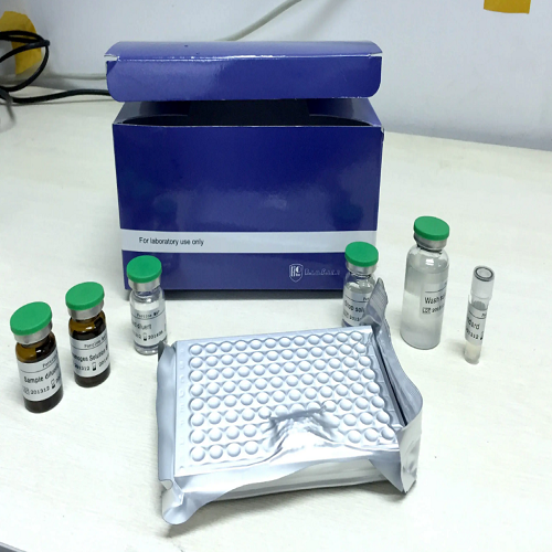 大鼠β淀粉样蛋白1-40（Aβ1-40)elisa试剂盒