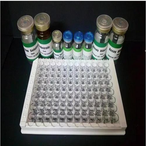 小鼠胞内氯离子通道蛋白4(CLIC4)elisa试剂盒