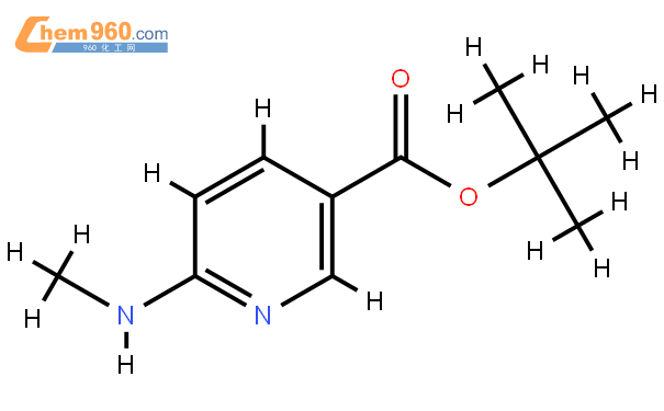 6-Methylamino-nicotinic acid tert-butyl ester结构式