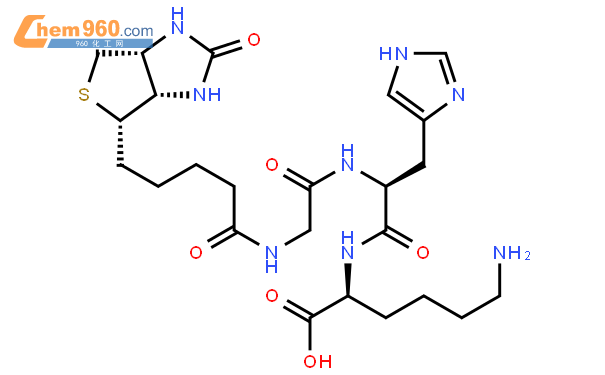 生物素三肽1299157543