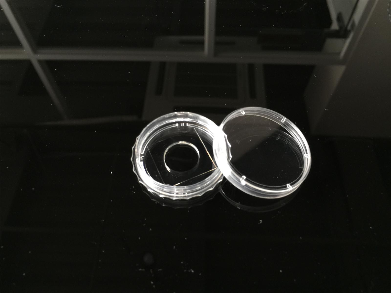 共聚焦12孔玻璃培养皿图片
