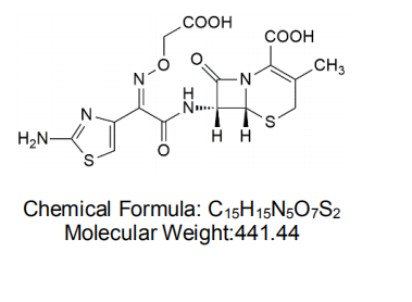 头孢克肟结构式图片