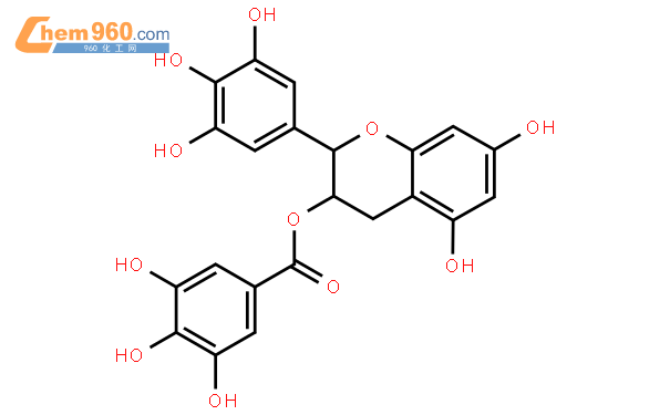 茶碱的结构式图片