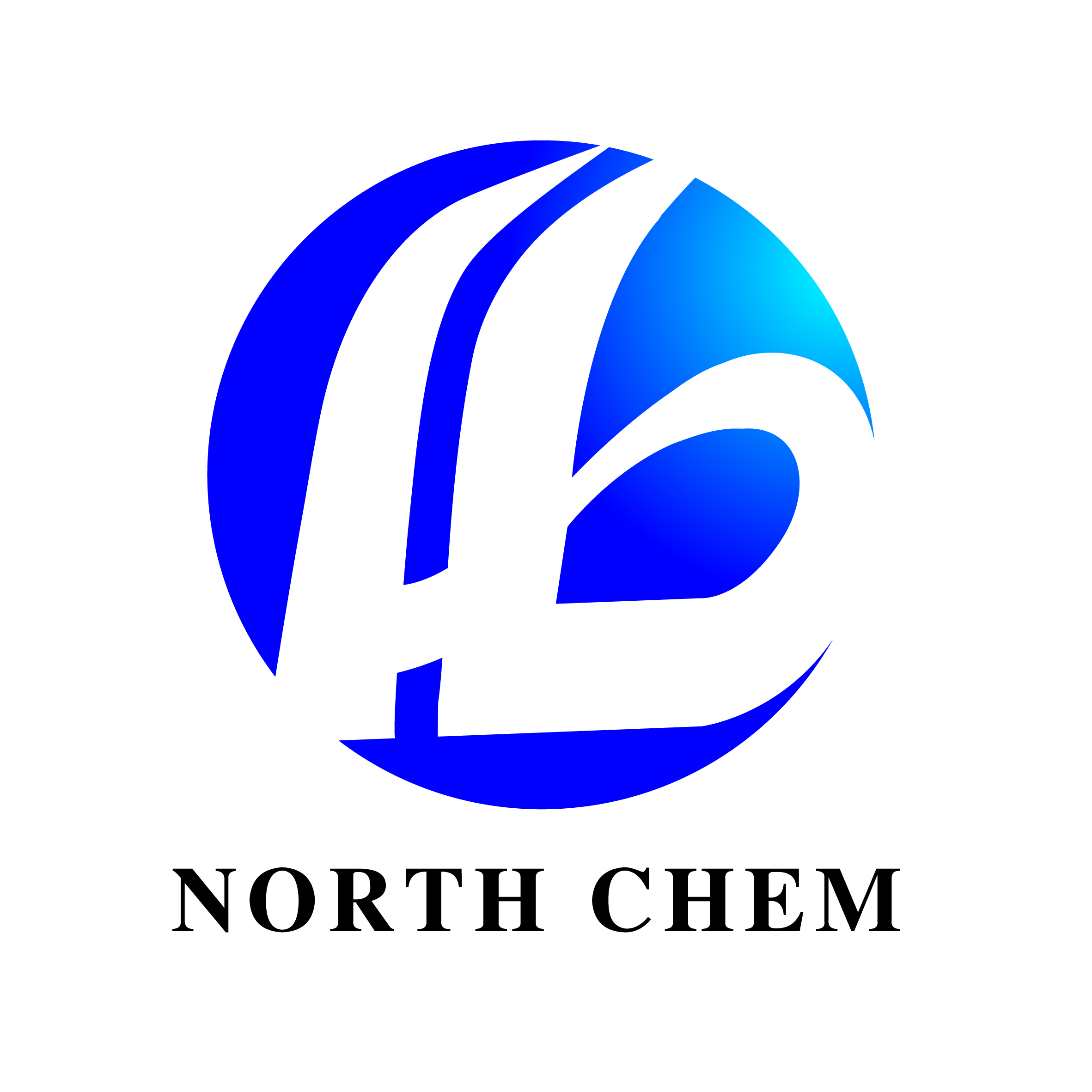 北化化学（山东）有限公司
