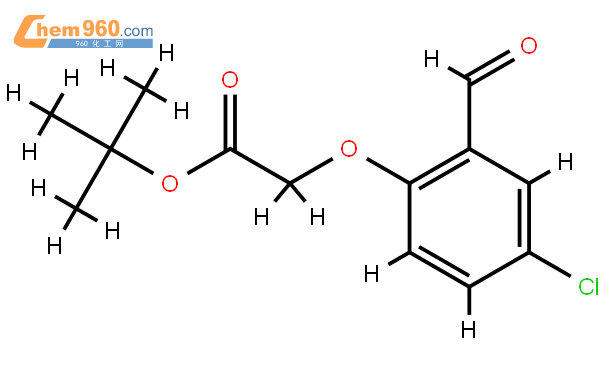 氯乙酸叔丁酯图片