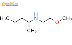 N-(2-甲氧基乙基)-2-戊胺结构式图片|1019604-72-8结构式图片