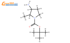 cis-Tert-Butyl 3-amino-2-methylpyrrolidine-1-carboxylate结构式图片|1610704-18-1结构式图片