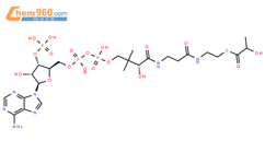 Lactoyl-CoA结构式图片|1926-57-4结构式图片