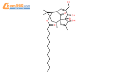 13-十二烷酰巨大戟醇结构式图片|54706-70-6结构式图片