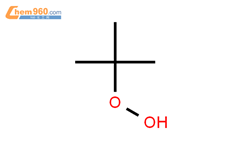 叔丁基过氧化氢结构式图片|75-91-2结构式图片