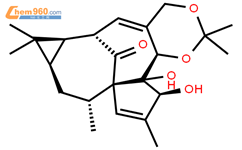 巨大戟醇-5,20-缩***结构式图片|77573-43-4结构式图片