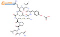 Oxytocin (acetate)结构式图片|6233-83-6结构式图片