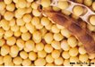 黄豆黄甙结构式图片|40246-10-4结构式图片