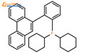 二环己基[2-(9-菲基)苯基]膦