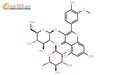 异鼠李素-3-O-新橙皮糖苷