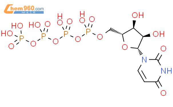 尿苷5'-四磷酸
