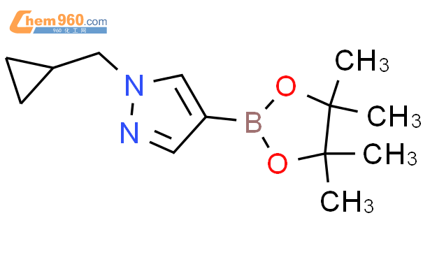 1-(环丙基甲基)-4-(4,4,5,5-四甲基-1,3,2-二噁硼烷-2-基)-1H-吡唑