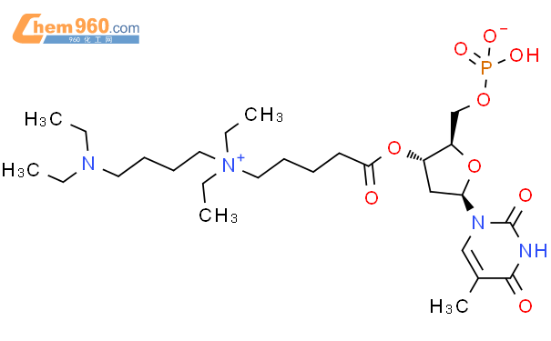 101010-99-5_5'-Thymidylic acid,3'-[5-[[4-(diethylamino)butyl ...