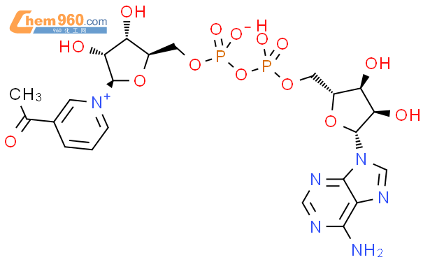 3-乙酰吡啶腺嘌呤二核苷酸（还原型）