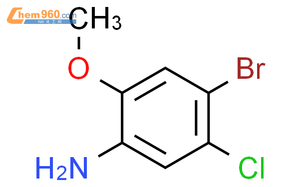 四溴-3-氯-6-甲氧基苯胺