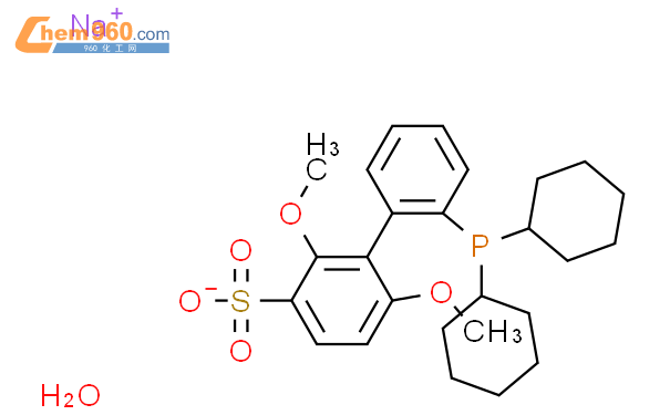 2′-二环己基膦基-2，6-二甲氧基-1，1′-联苯基-3-磺酸钠 水合物