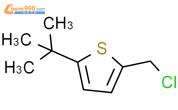 Tert Butyl Chloromethyl Thiophenecas