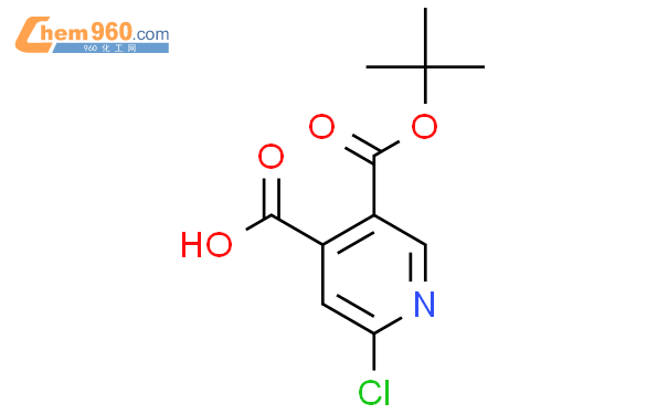 叔丁基氯的结构式图片