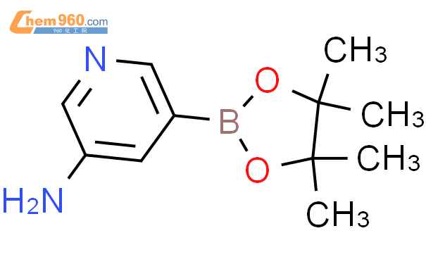 3-氨基吡啶-5-硼酸频那醇酯