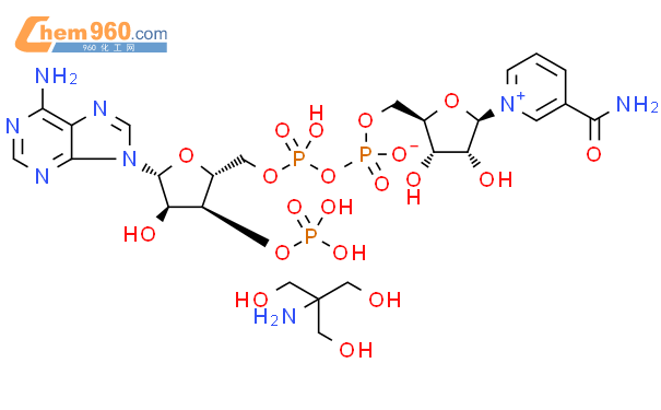 三磷酸吡啶核苷酸