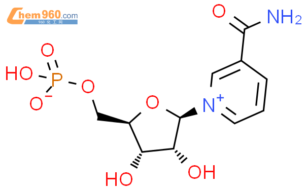β-烟酰胺单核苷酸