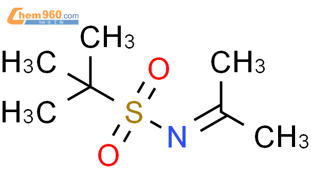 2-methyl-N-(propan-2-ylidene)propane-2-sulfonamide「CAS号：110955-57-2 ...