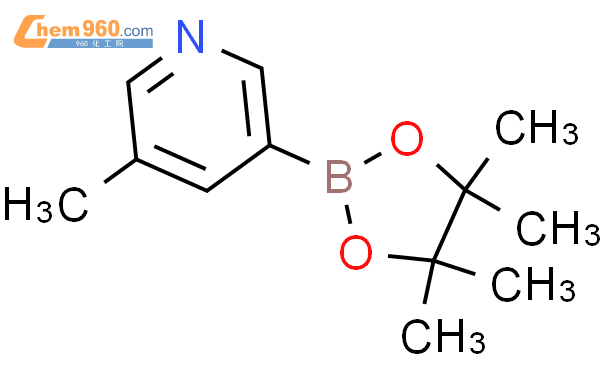 啶-5-硼酸频哪醇酯