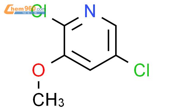 2,5-二氯-3-甲氧基吡啶