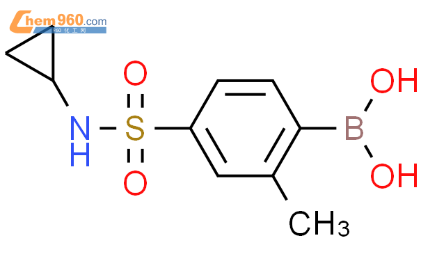4-(N-环丙基磺酰基)-2-甲基苯硼酸