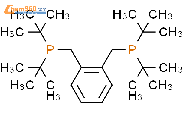 1,2-双(二叔丁基膦甲基)苯