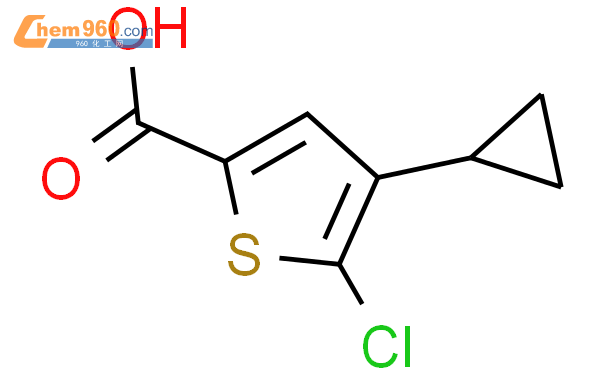 5-氯-4-环丙基噻吩-2-羧酸