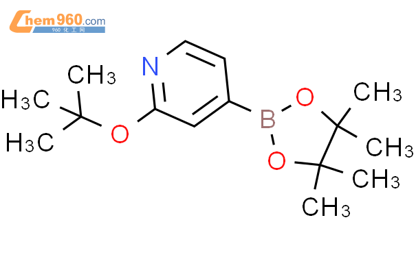 2-叔丁氧基吡啶-4-硼酸频那醇酯